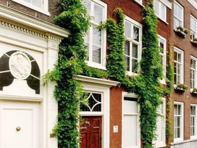 herkomst: reo   datum: 12-5-93   neg.nr: 4079-1