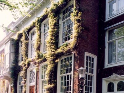 herkomst: DSO   datum: 1998/1999   neg.nr: 7966-1