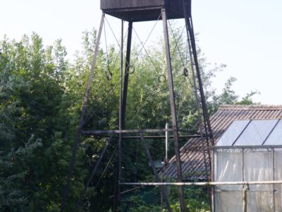 Herkomst: P.J. Bosman; datum: 15-09-2016