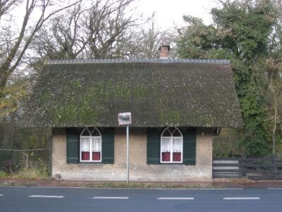 herkomst: MZ   datum: december 2012