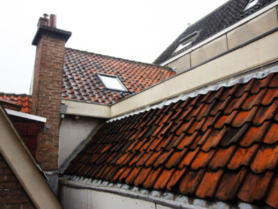 Herkomst: J.Vrolijk   datum: 26-7-2001