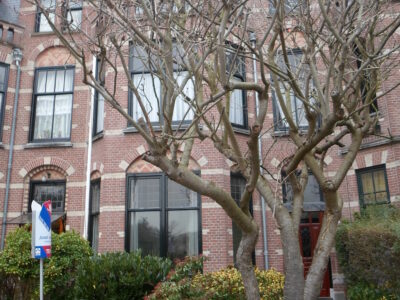 herkomst: R. Joosten   datum: 6 februari 2017